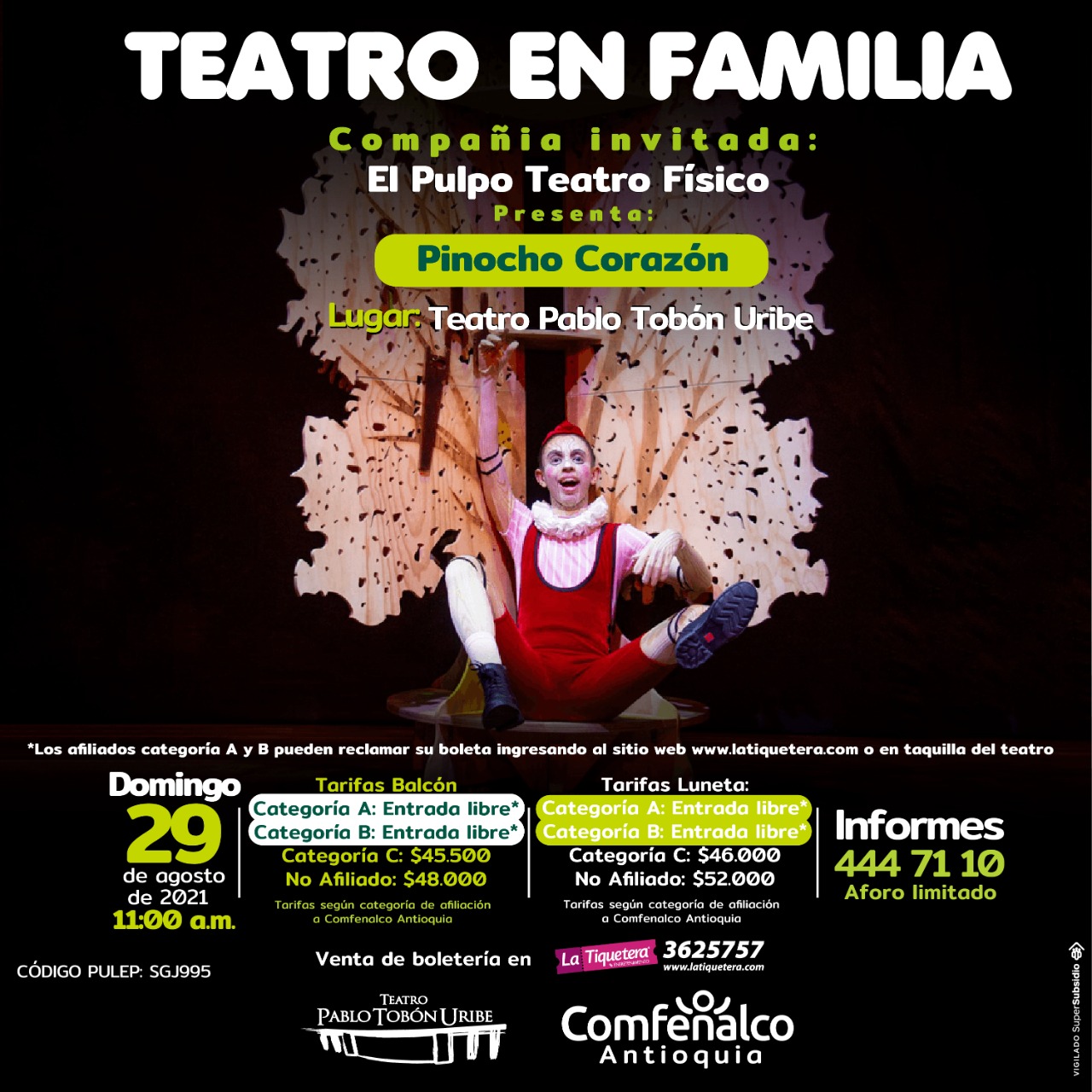 Imagen del evento Pinocho Corazón