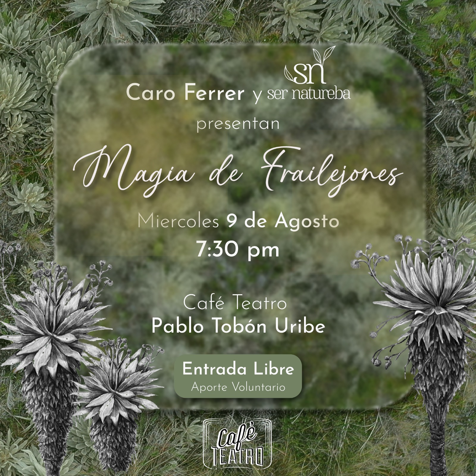 Imagen del evento Magia de Frailejones