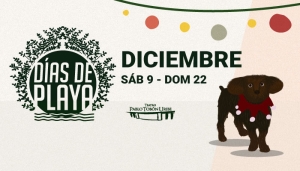 #DíasDePlaya - 19 de diciembre