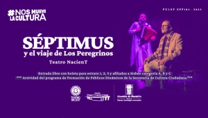 Septimus y el viaje de Los Peregrinos